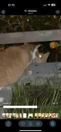 img 1737