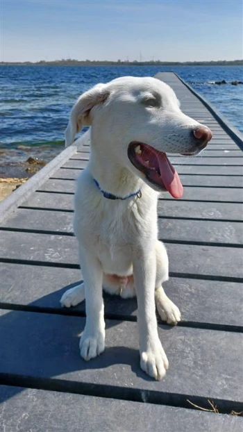 ad5bc3e1 9aa6 4b30 84fb dbbaca3aa184.