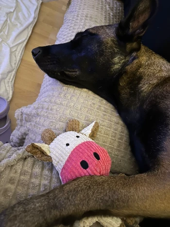 img 20241019 wa0010.