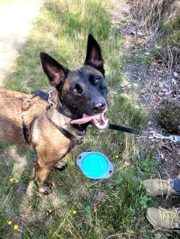 videocapture 20250812 121650.