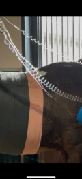 img 3535