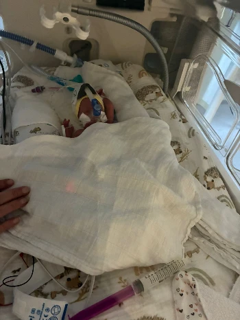 cf475a69 79f3 41f7 b5b4 85c0d91e16c7.