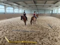 reithalle reiten