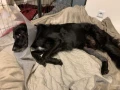 img 1885