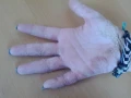 1000283056