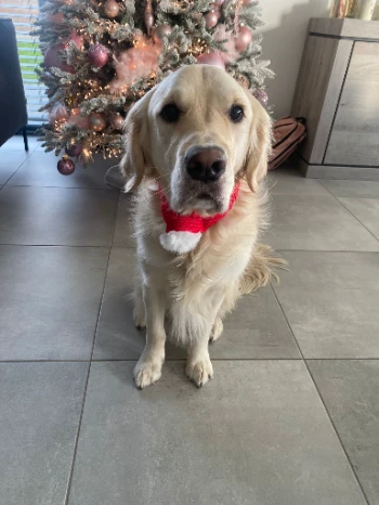 c2aab28f 6bf8 4c29 b82f 1fbbbe4225c9.