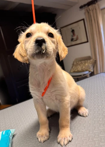 05ef73cf 9700 4ab1 8e20 76bae4c56d7c.