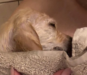 7ad34de0 accc 490b bbe8 e9d01dde9fd7.