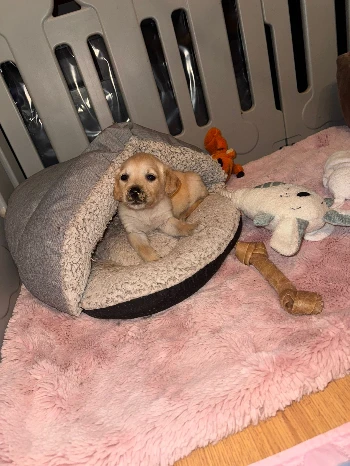 f563b542 2070 48a9 87f3 330f78fe211a.