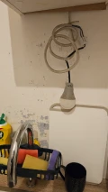 1000033448
