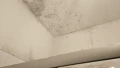 1000033452