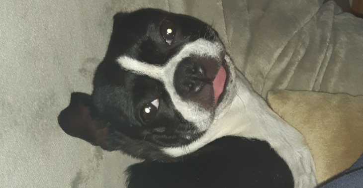 Help Angie AUB  anders ga ik dood 🙏🙏🙏