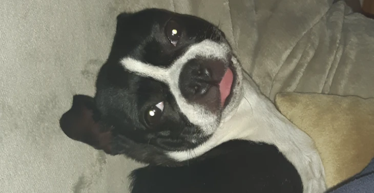 Help Angie AUB 🙏🙏🙏