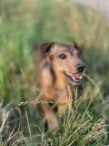 img 0397