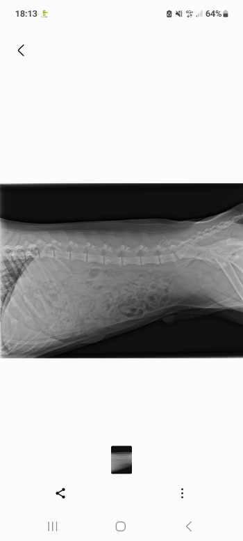 inbound6209090529112102594