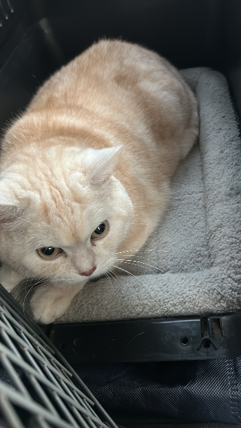 f214c038 e679 4a6b a2cc eabff2e4d662