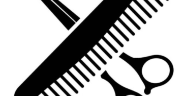 Zelfstandige onderneming