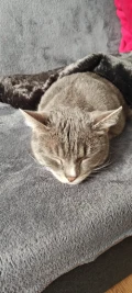 rocky 3