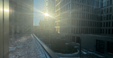 Занпротетик