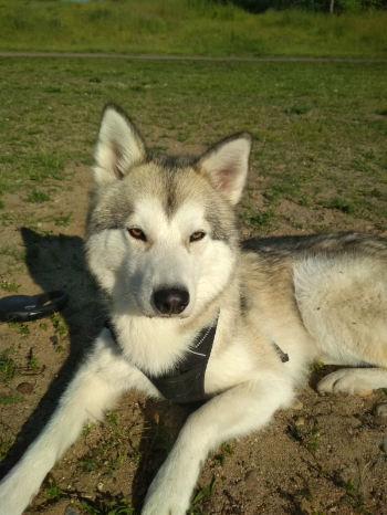 8d0b75ea 99fd 4b7f 9fb8 37aa40e82fb4