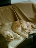 img 20250115 200612