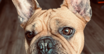 Samen redden we Batman