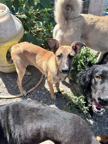 messenger creation 1411380423862111