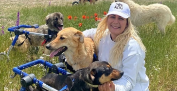 Köpekvelisi - behinderte Hunde