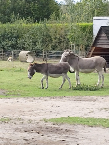 received 711862963019254