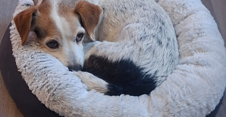 Zahnschmerzen beenden