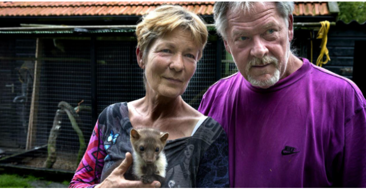 Help de wilde gewonde dieren zodat de deuren niet gesloten worden 