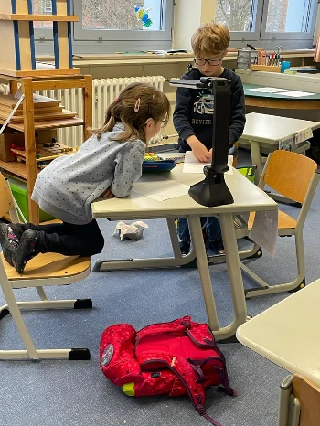 29f2e4fa fd40 464c 84f4 19f983c62d57.