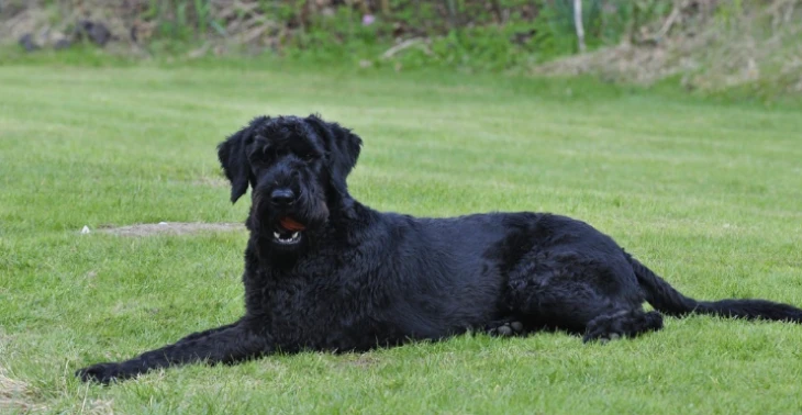 Hilfe für Friedrich