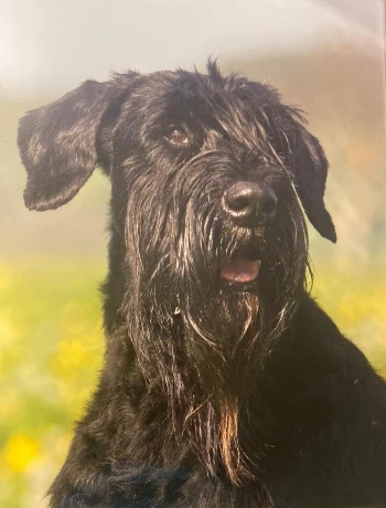 f29a1ce5 e1a9 45f3 8fd2 8307dc530025.