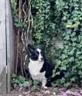 img 7694