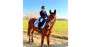 Help paarden en andere dieren