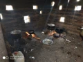 kinkeleba 4