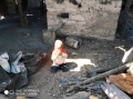 kinkeleba