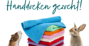 Handdoeken actie