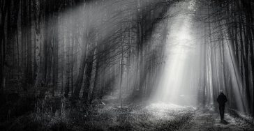 Unterstützung Einkauf