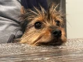 img 4564