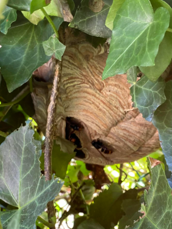 ae6d3c1d ea4e 40cf a98a d9aeafe343ea