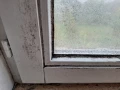 20260307 082226