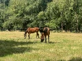 img 9800