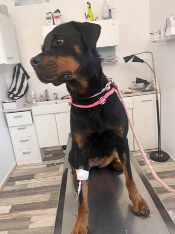 08fae154 ea74 44d6 be60 e7985c9c89c4