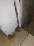 img 20260328 213912