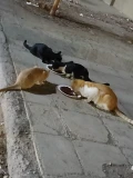 img 3343