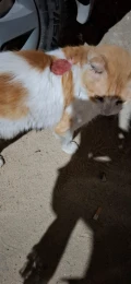 img 3347