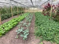 thumbnail img 8376