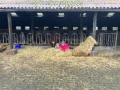 thumbnail img 8629